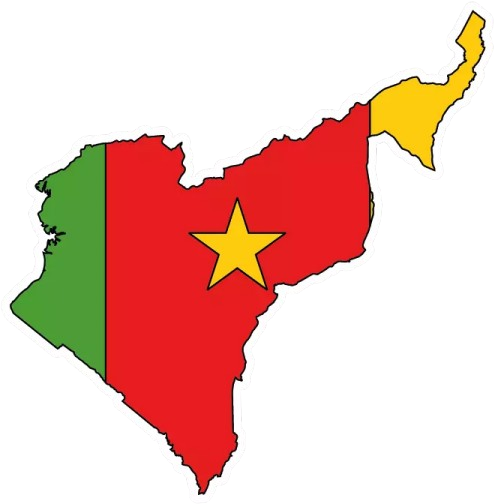 Cameroon Flag